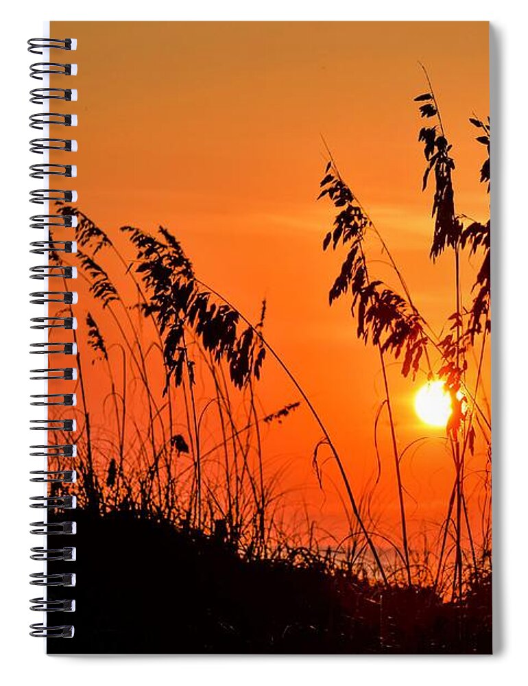 Hilton Head Spiral Notebook featuring the photograph Hilton Head Sunrise by Mary Ann Artz