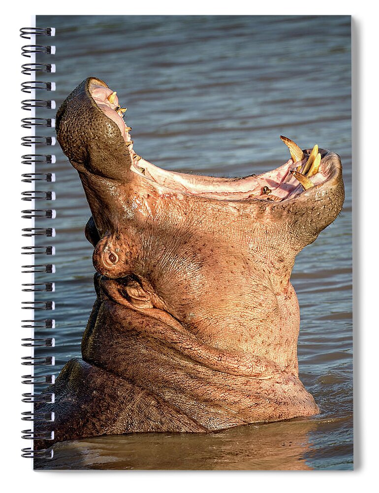 Hippo Spiral Notebook featuring the photograph Hippo Yawn by Steven Upton