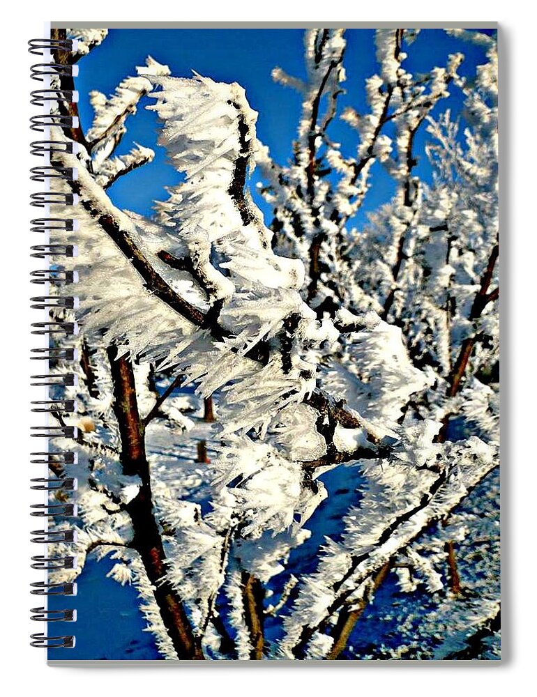 Winter Spiral Notebook featuring the photograph Hoar Frost by 'REA' Gallery