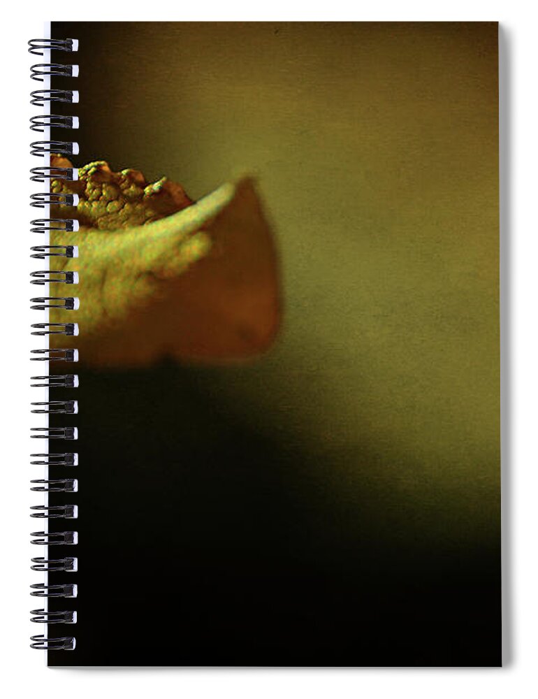 Conceptual Spiral Notebook featuring the photograph Holy Grail by Rebecca Sherman