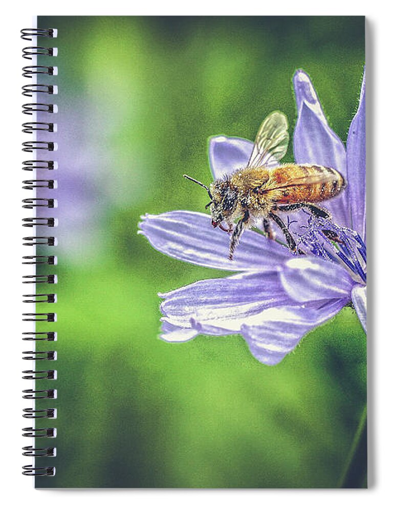 Flower Spiral Notebook featuring the photograph Honey Bee and Flower by Eleanor Abramson
