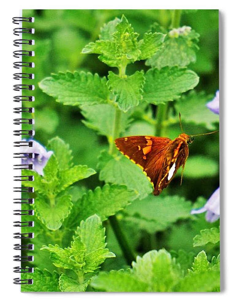 Flowers Spiral Notebook featuring the photograph Honing in by Merle Grenz