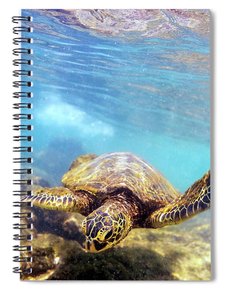 Chris Johnson Spiral Notebook featuring the photograph Honu by Christopher Johnson