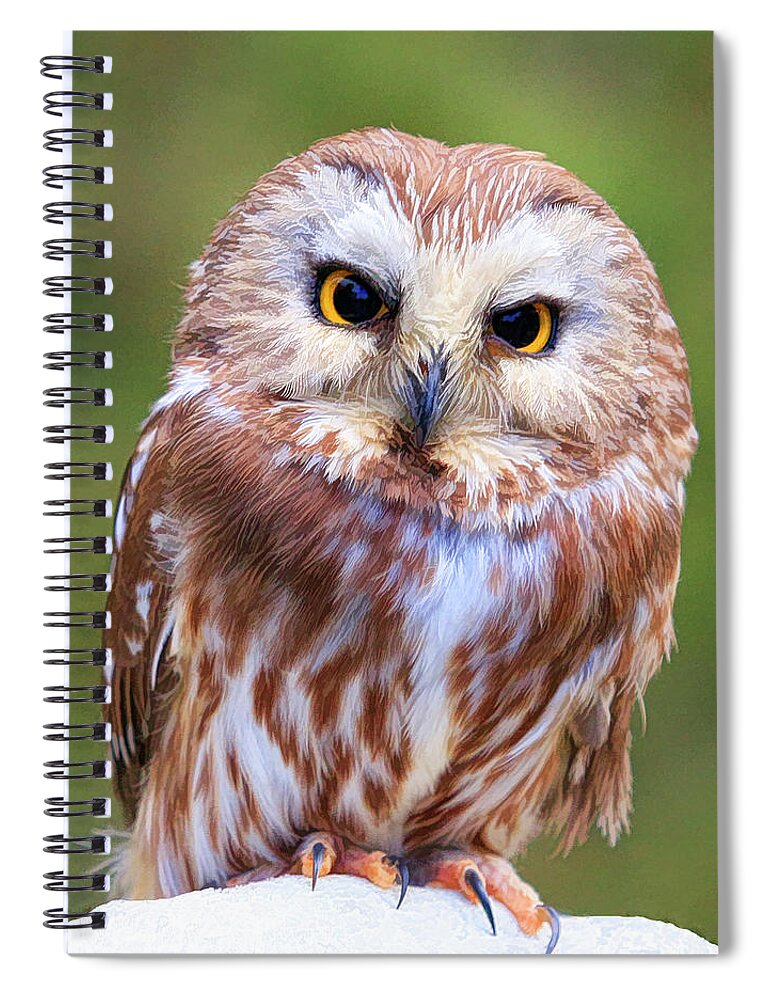 Owl Spiral Notebook featuring the photograph Hoo You Lookin At by Steve McKinzie