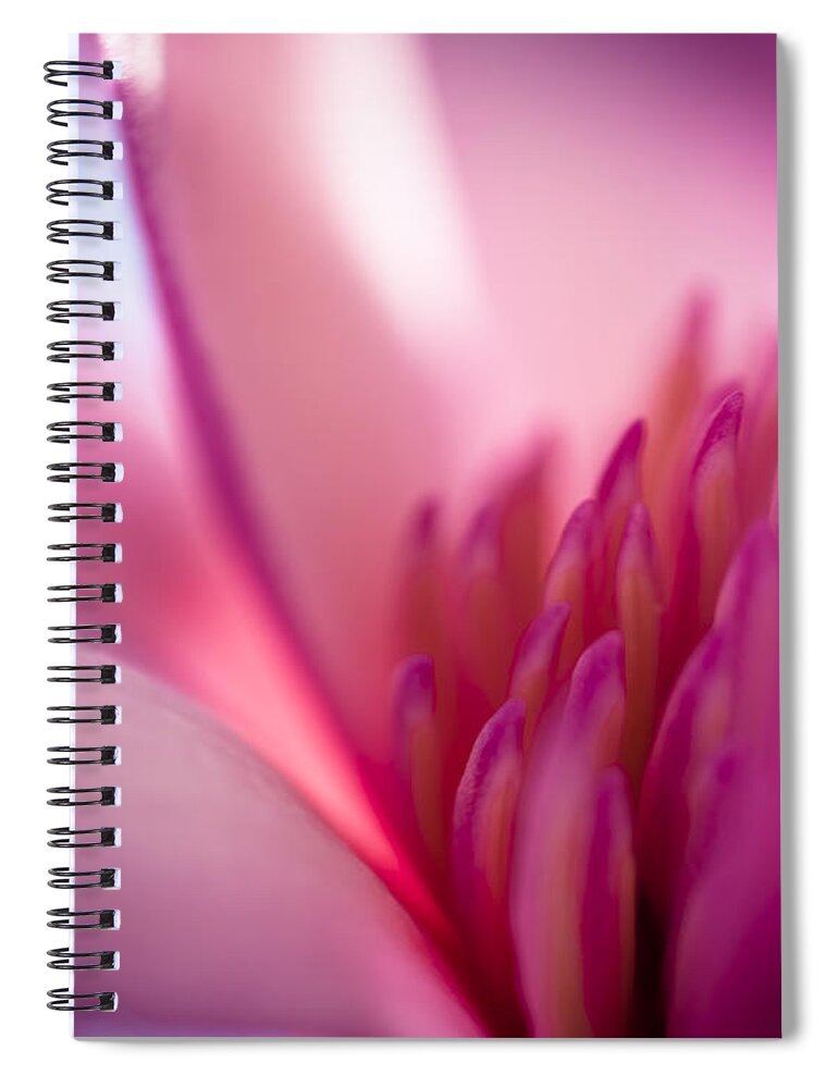 Magnolia Spiral Notebook featuring the photograph Hope by Jan Bickerton