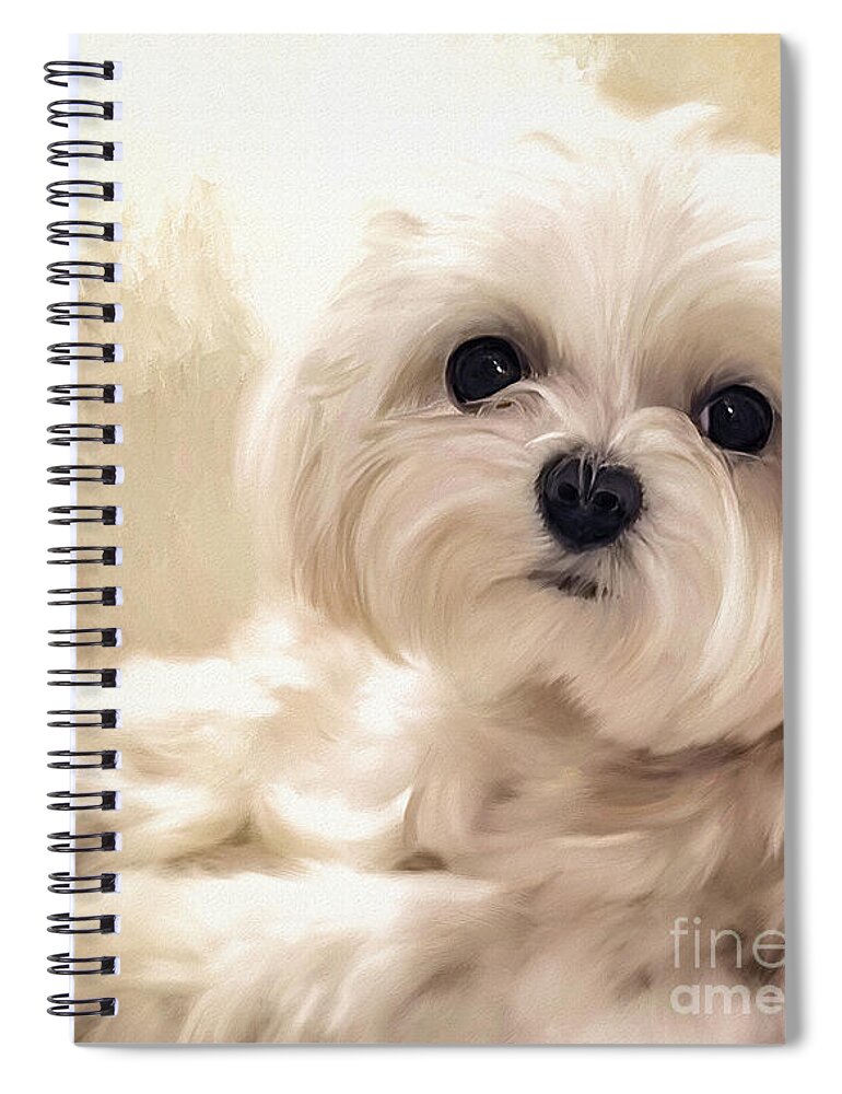Maltese Spiral Notebook featuring the digital art Hoping For A Cookie by Lois Bryan
