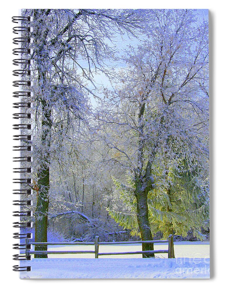 Winter Landscape Spiral Notebook featuring the photograph Hoping for Green by Julie Lueders 