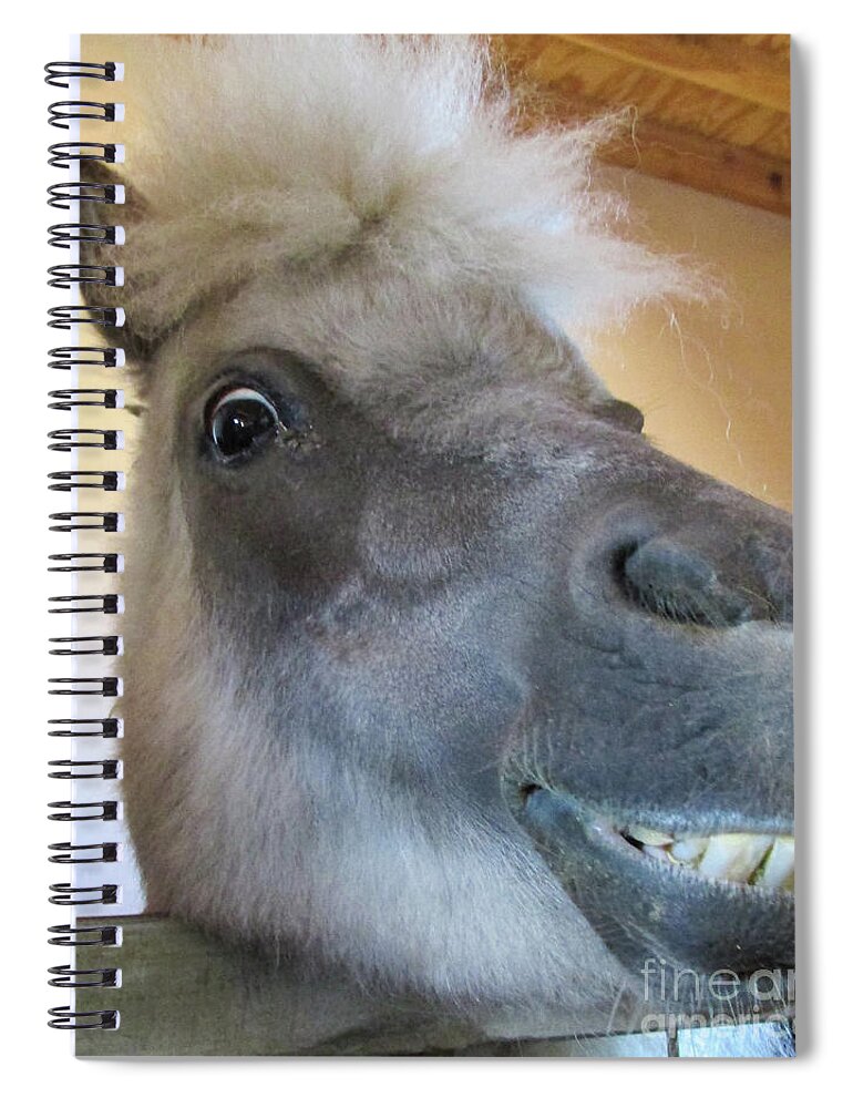 Horse Spiral Notebook featuring the photograph Horse 11 by Christy Garavetto