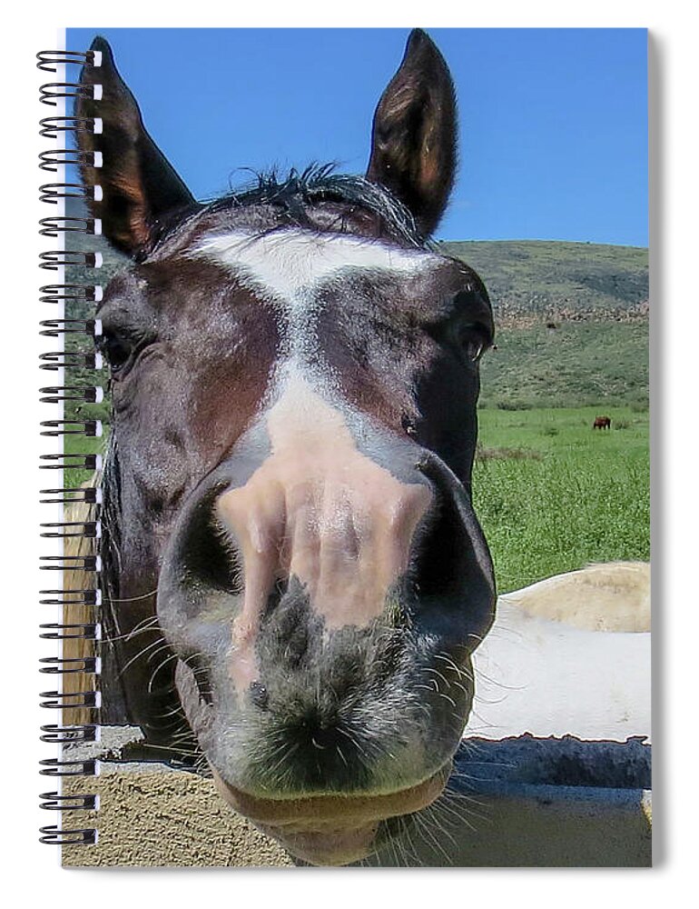 Horse Spiral Notebook featuring the photograph Horse 13 by Christy Garavetto
