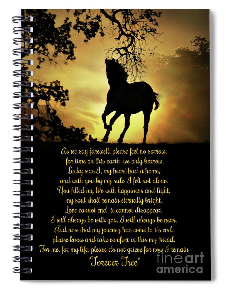 Horse Spiral Notebook featuring the photograph Horse Memorial Original Poem by Stephanie Laird