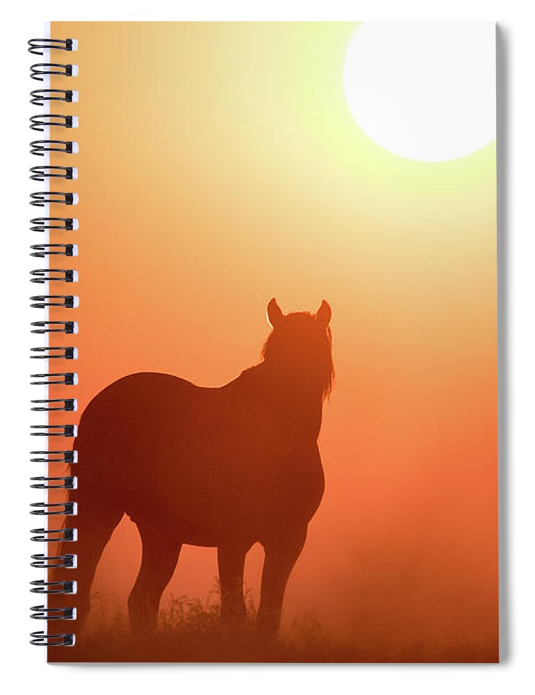 Silhouette Spiral Notebook featuring the photograph Horse Silhouette by Wesley Aston