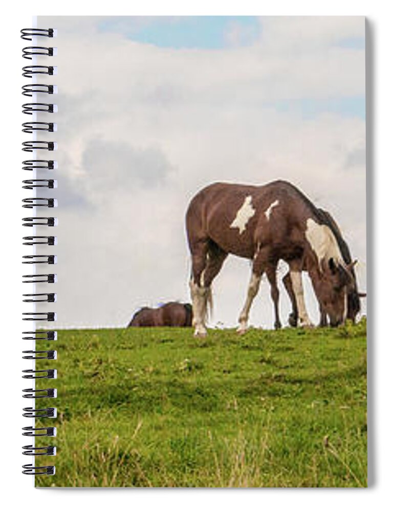 Horses Spiral Notebook featuring the photograph Horses and Clouds by D K Wall