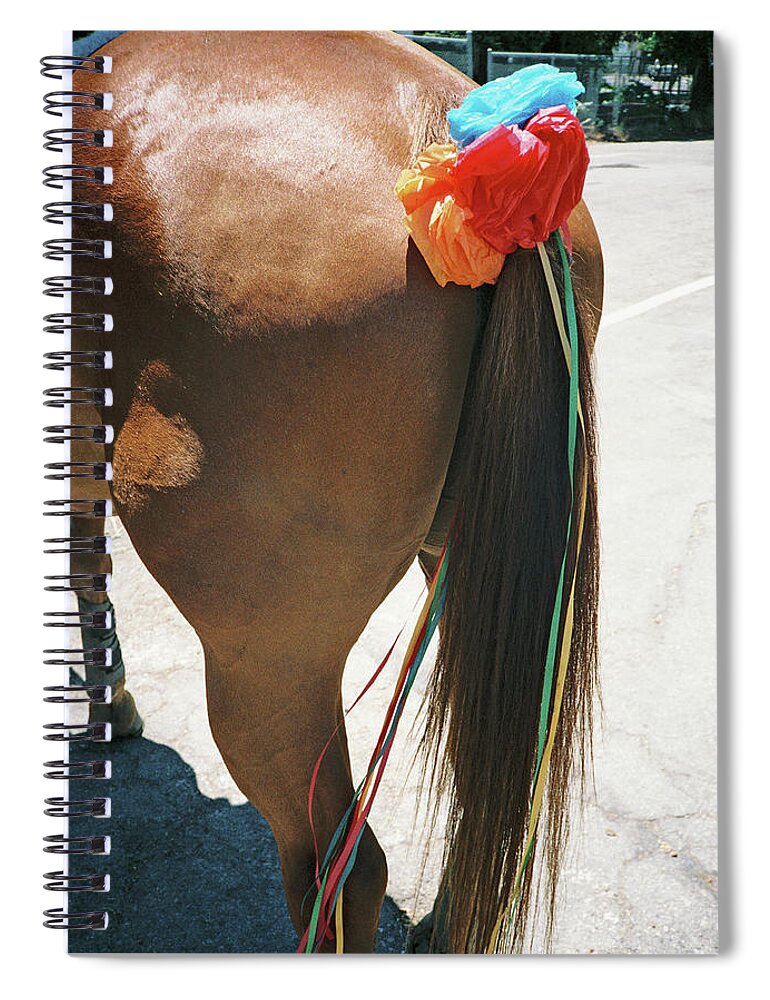 Color Spiral Notebook featuring the photograph Thinking of You by Frank DiMarco