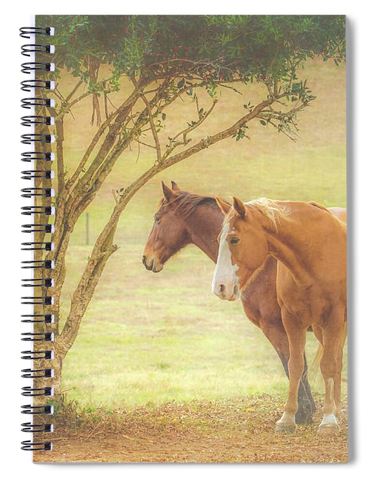 Horse Spiral Notebook featuring the photograph Horses in the Meadow by Eleanor Abramson