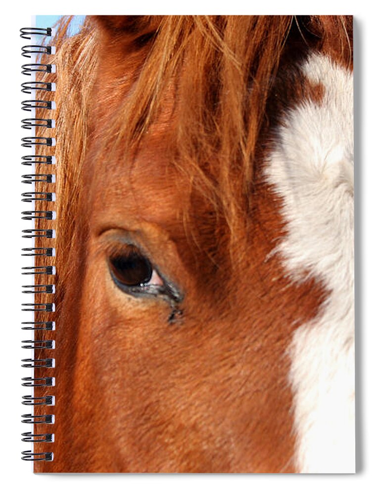 Horse Spiral Notebook featuring the photograph Horse's Mane by Thomas Marchessault
