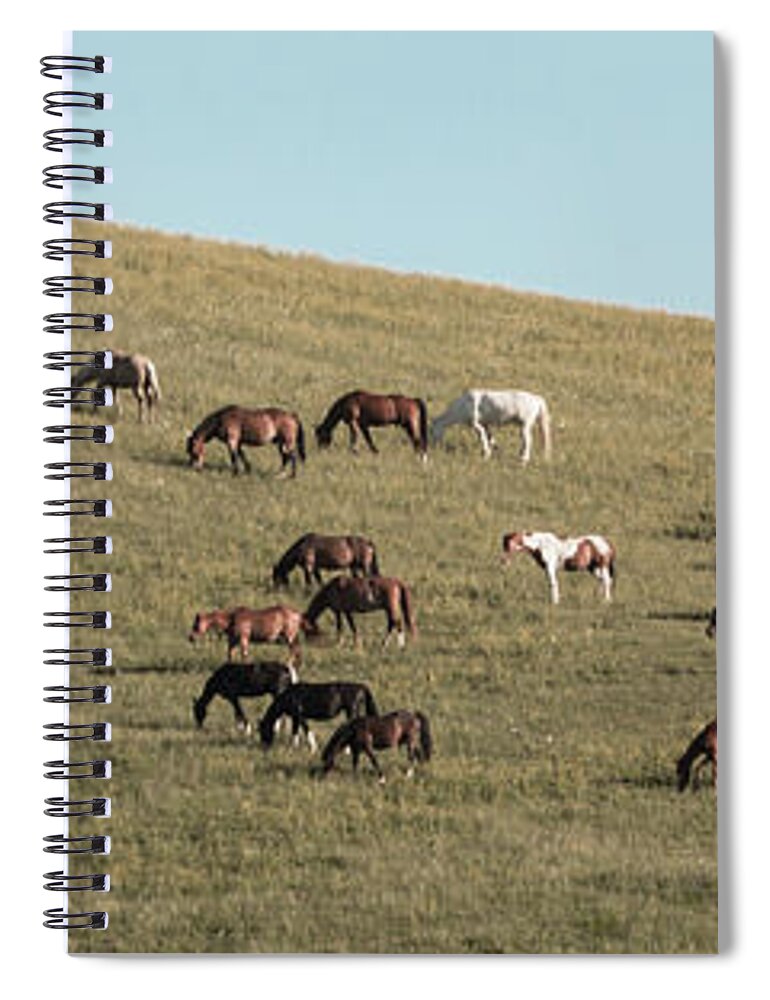 Horses Spiral Notebook featuring the photograph Horses On The Hill by D K Wall