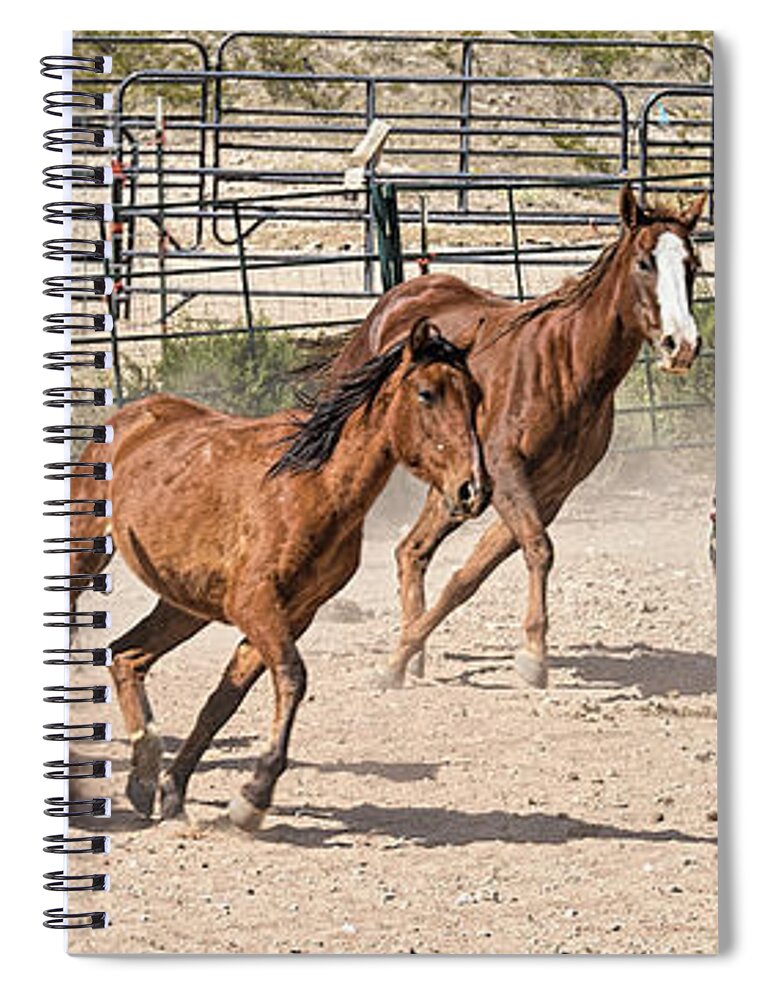 Coffee Mugs Spiral Notebook featuring the photograph Horses Unlimited #3a by Walter Herrit