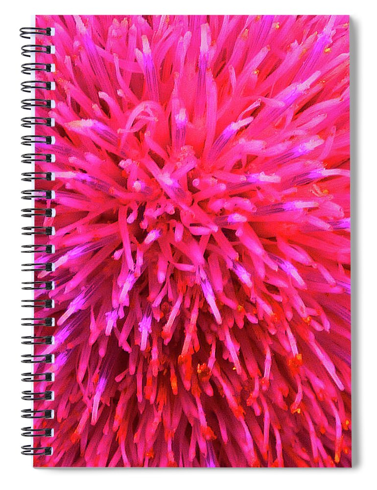 Pink Spiral Notebook featuring the photograph Hot Pink Floral Abstract by Marcia Socolik