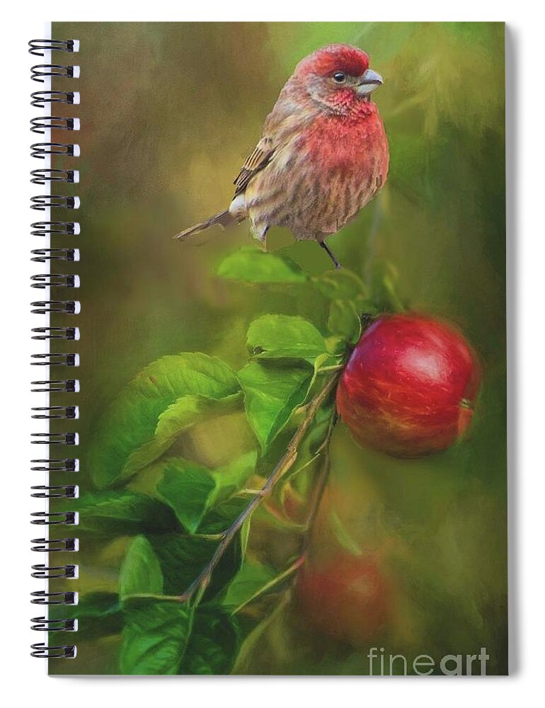 House Finch Spiral Notebook featuring the photograph House Finch on Apple Branch 2 by Janette Boyd