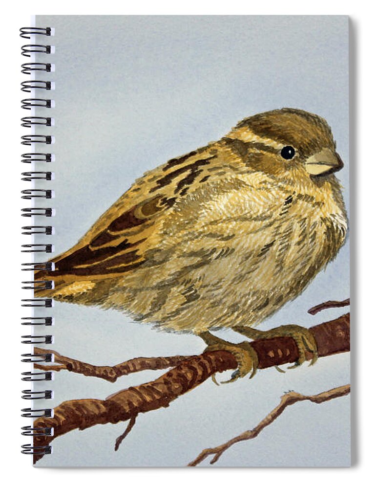  Sparrow Spiral Notebook featuring the painting House Sparrow by Norma Appleton