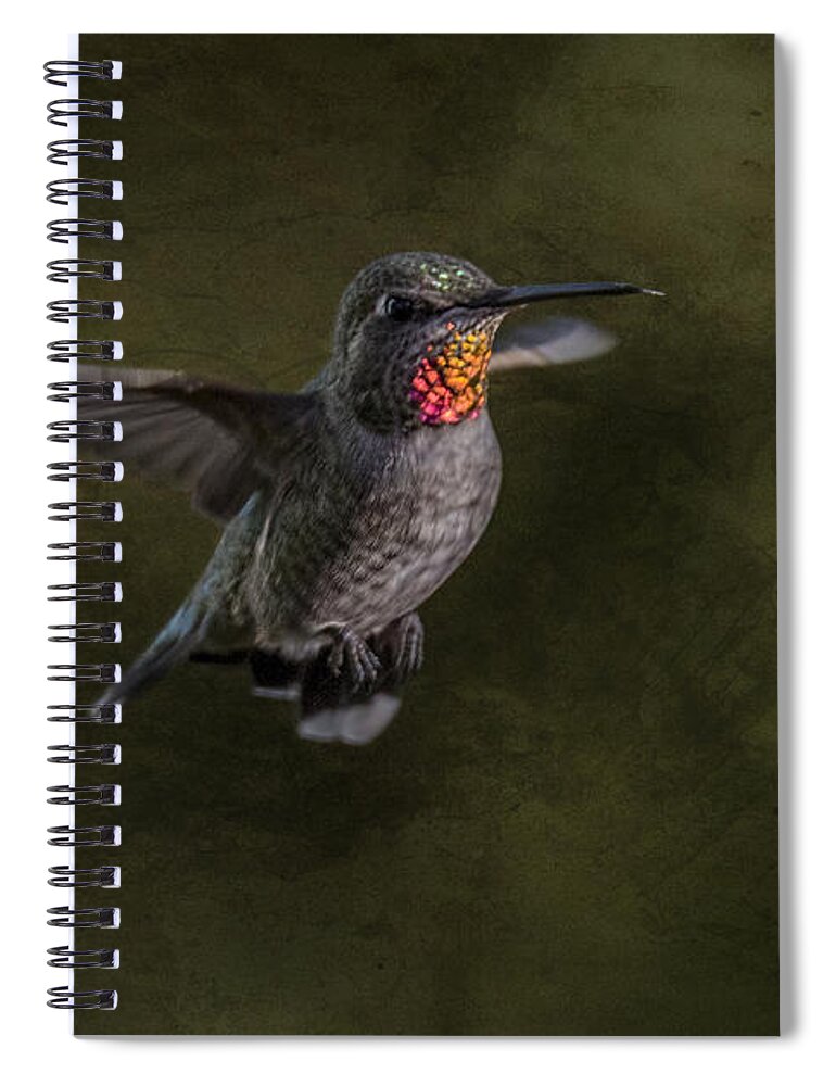Anna's Hummingbird Spiral Notebook featuring the photograph Hovering Hummer by Randy Hall