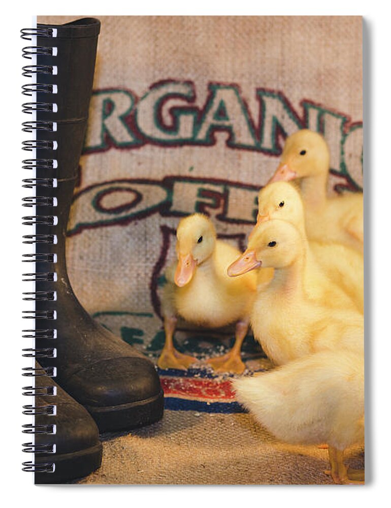 Andrew Pacheco Spiral Notebook featuring the photograph How Does Your Garden Grow by Andrew Pacheco
