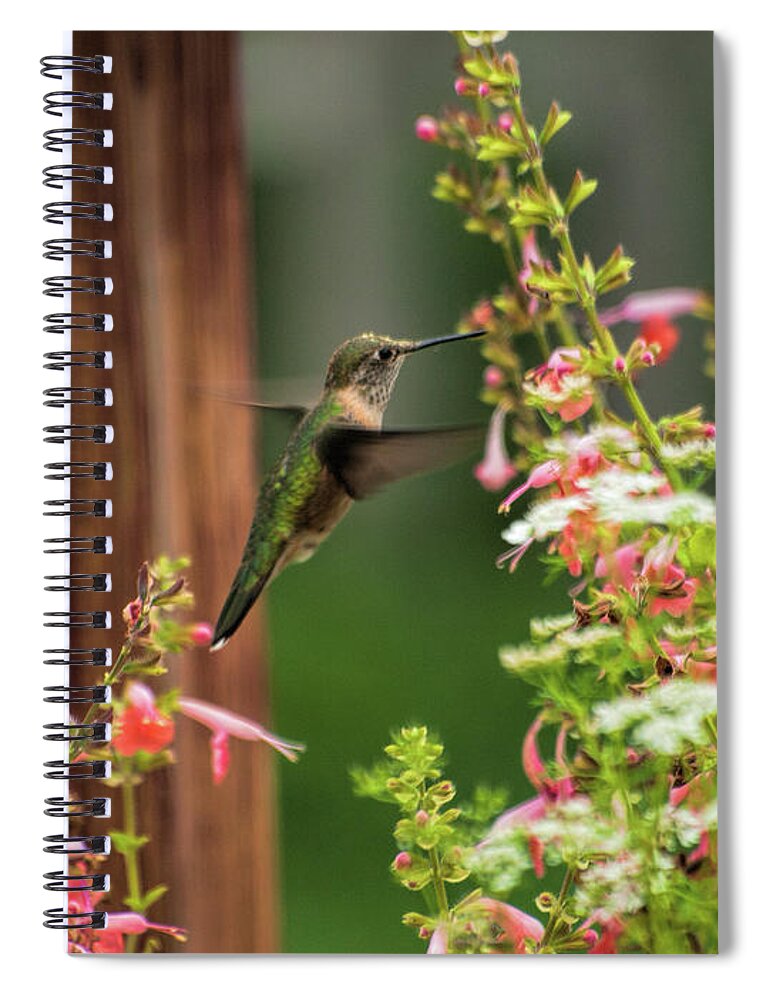 Hummingbird Spiral Notebook featuring the photograph Hum 2 by Alana Thrower