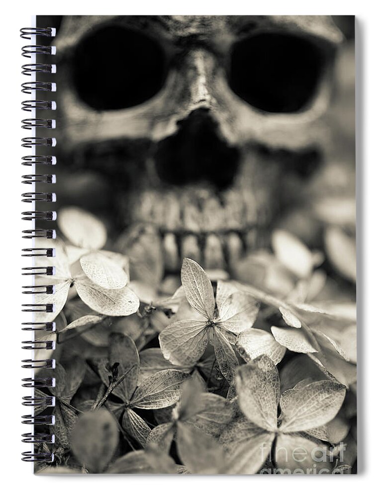 Still Life Spiral Notebook featuring the photograph Human skull among flowers by Edward Fielding