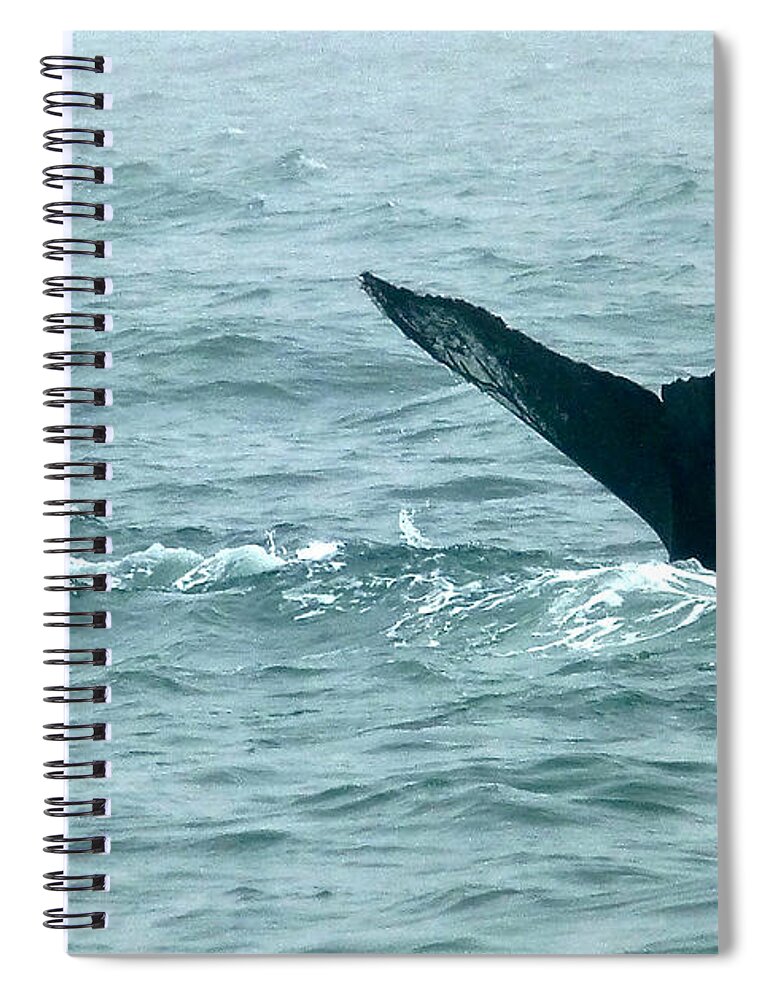 Humpback Whales Spiral Notebook featuring the photograph Humpback Patterned Flukes by Amelia Racca