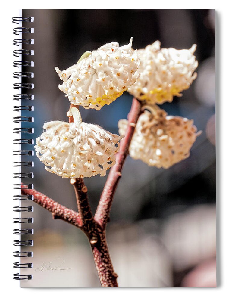 Flowers Spiral Notebook featuring the photograph Humble Chinamen by S Paul Sahm