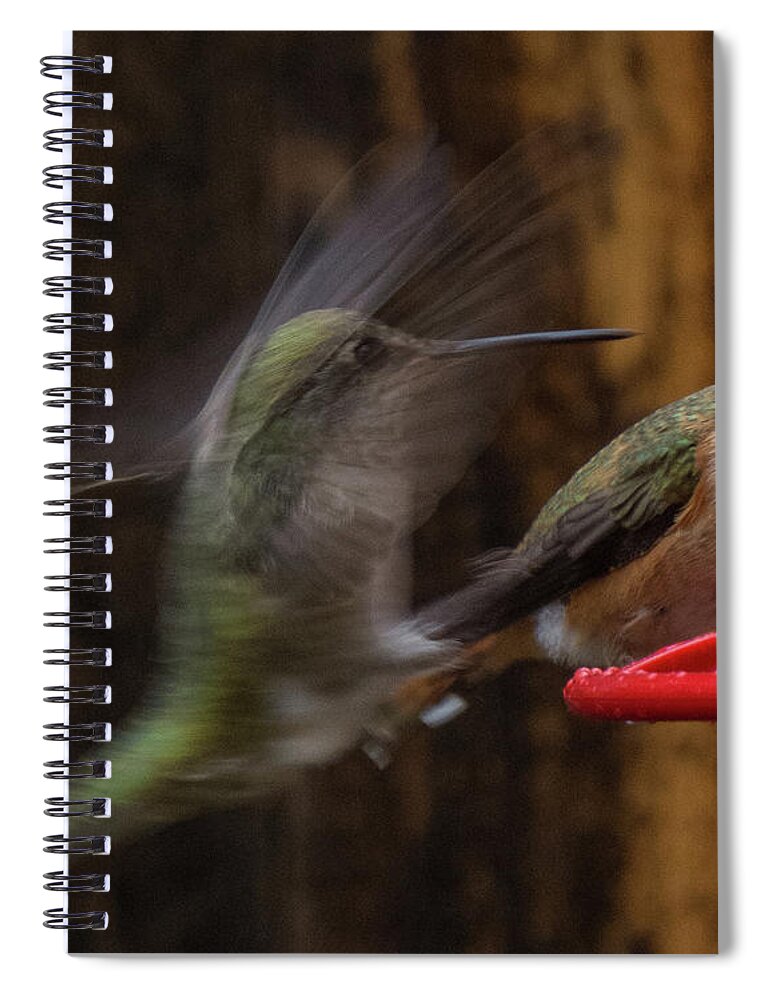 Hummingbird Spiral Notebook featuring the photograph Hummingbird 9 by Christy Garavetto