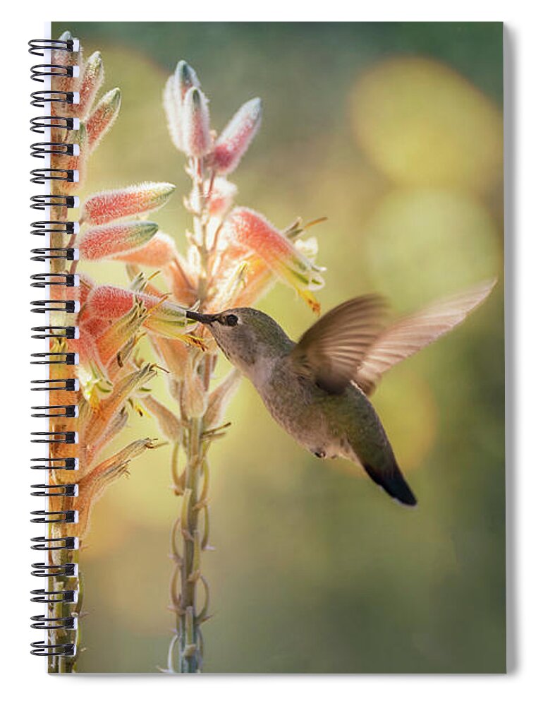 Hummingbird Spiral Notebook featuring the photograph Hummingbird Breakfast Is Served by Saija Lehtonen