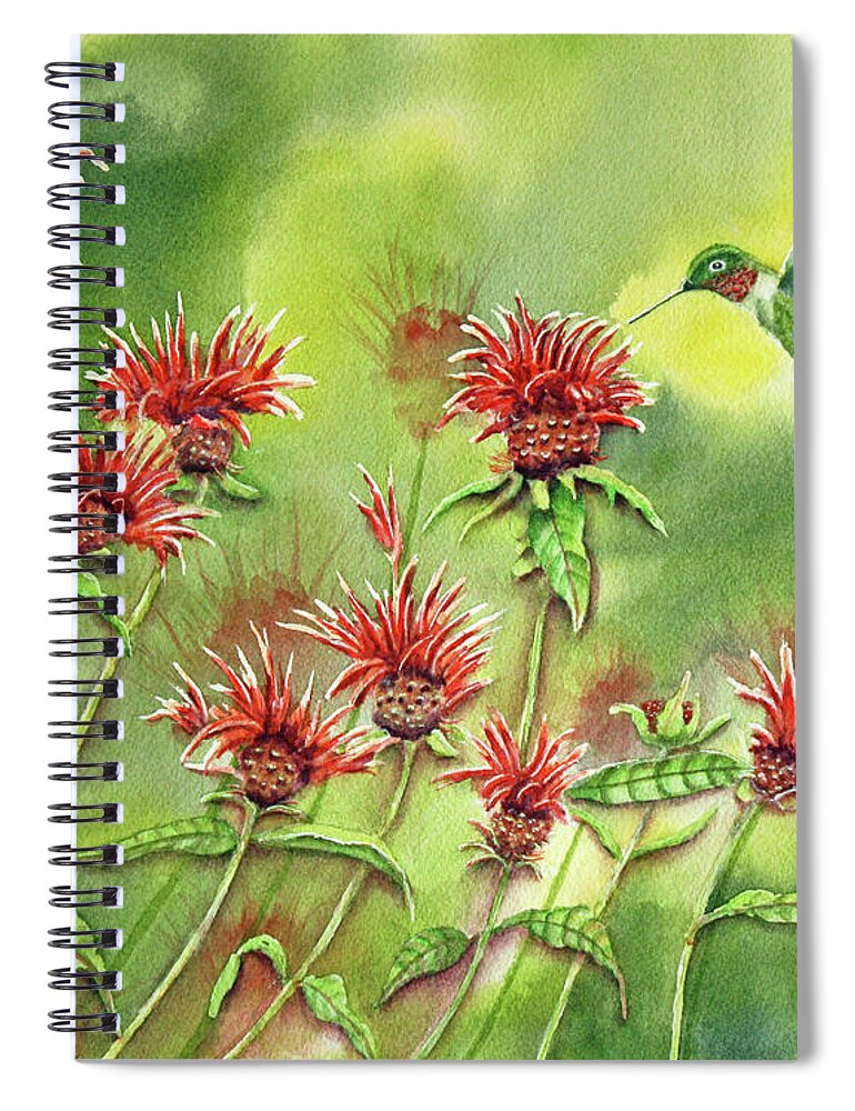 Hummingbird Spiral Notebook featuring the painting Hummingbird In Beebalm by Kathryn Duncan
