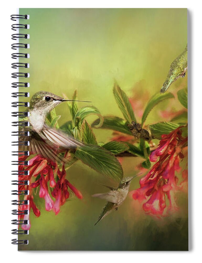 Humming Birds Spiral Notebook featuring the photograph Hummingbird Paradise by Pam Holdsworth
