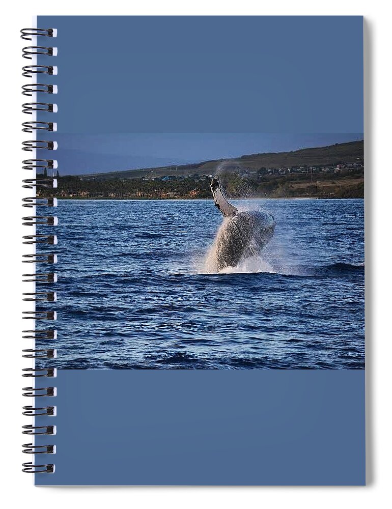 Humpback Whale Spiral Notebook featuring the photograph Humpback Calf by Carolyn Mickulas