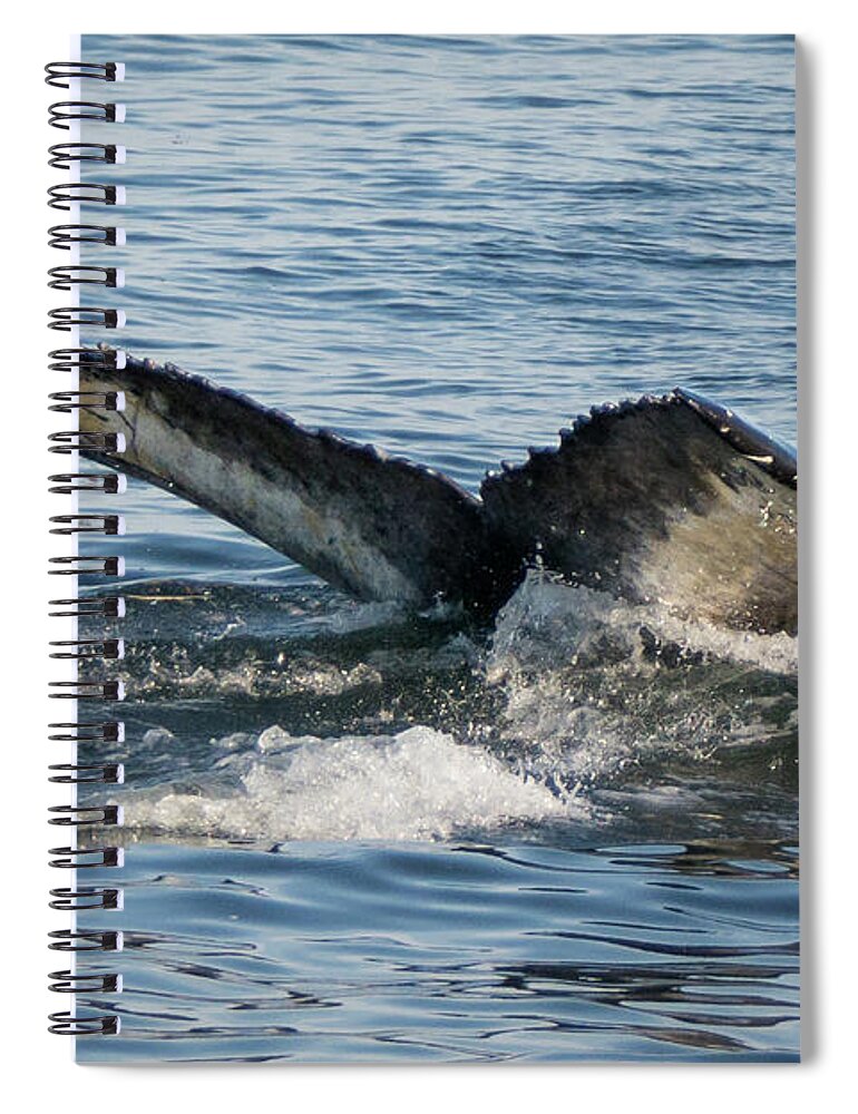 Whale Spiral Notebook featuring the photograph Humpback Fluke by Lorraine Cosgrove