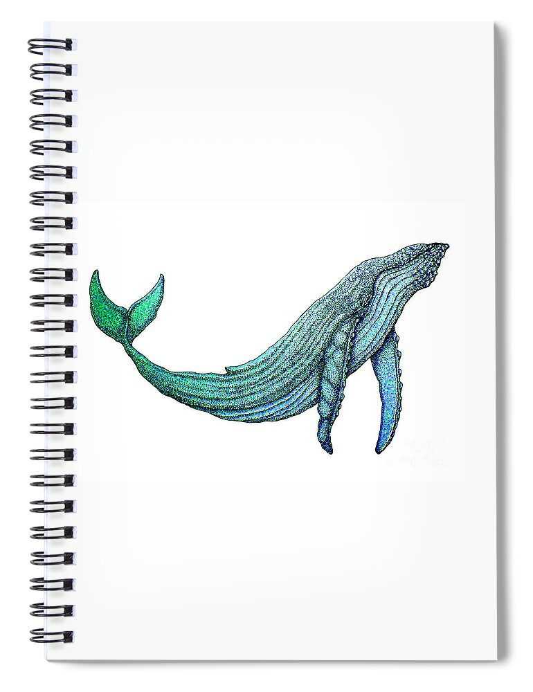 Humpback Whale Spiral Notebook featuring the drawing Humpback Whale by Nick Gustafson