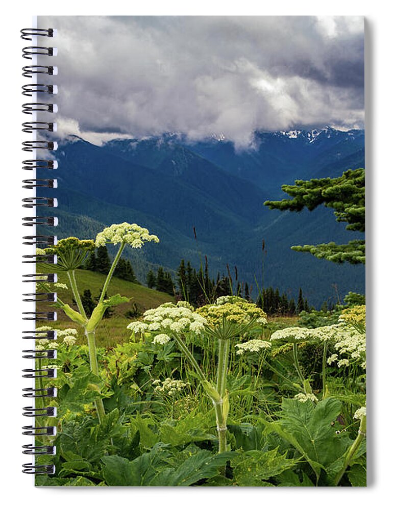 Hurricane Ridge Spiral Notebook featuring the photograph Hurricane Ridge Wildflowers and Clouds by Roslyn Wilkins