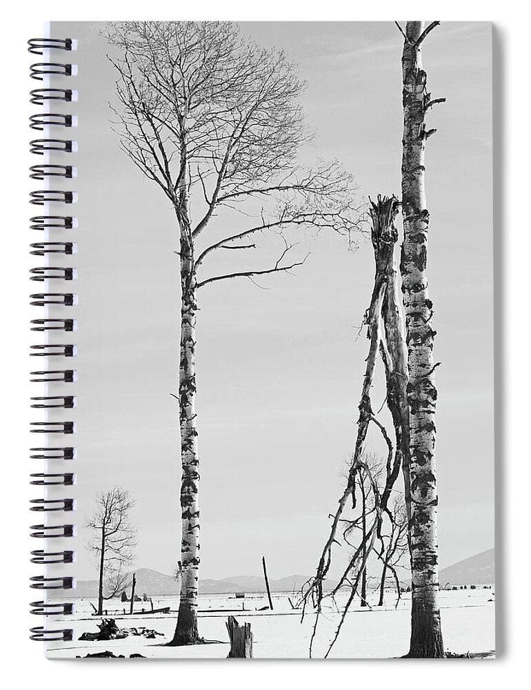 Hwy62 Spiral Notebook featuring the photograph Hwy 62 by Dr Janine Williams