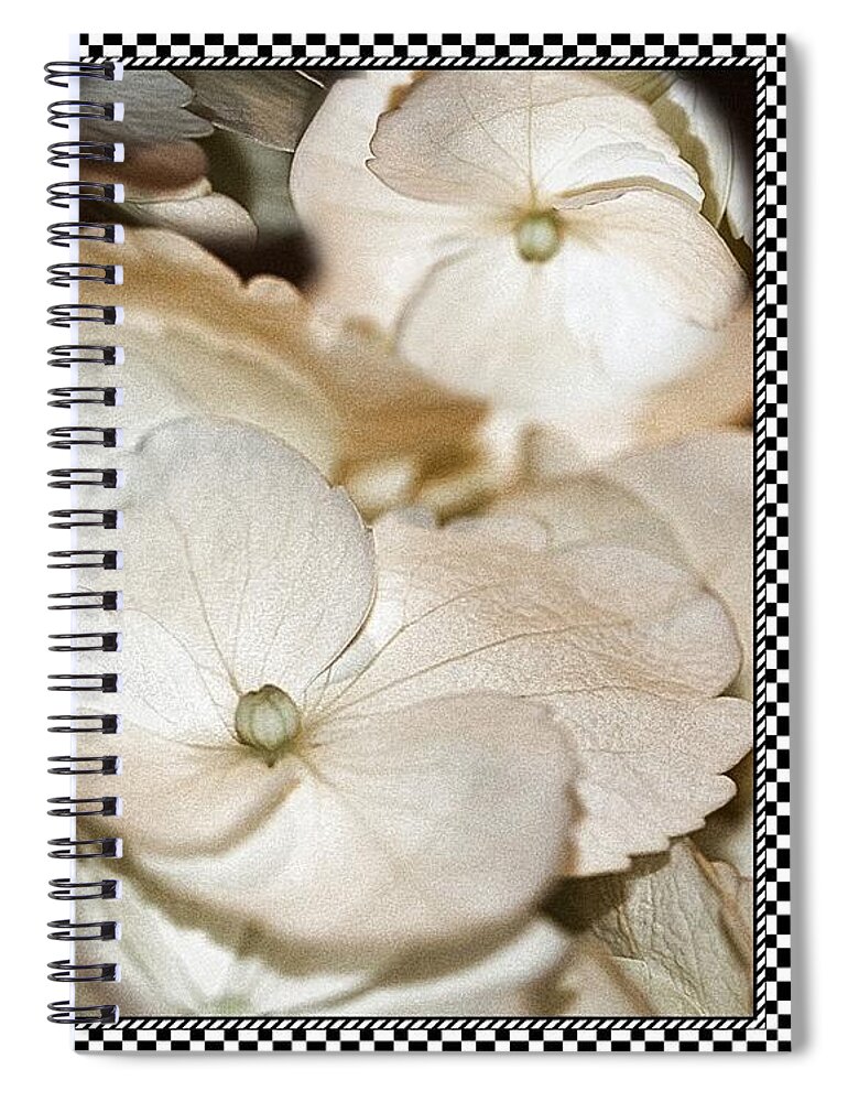Hydrangea Spiral Notebook featuring the photograph Hydrangea Blossom Framed by Andrea Lazar