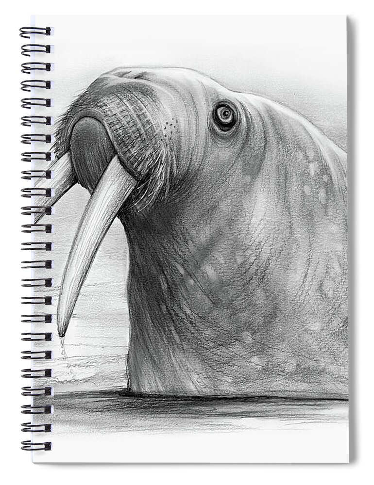 Walrus Spiral Notebook featuring the drawing I am the Walrus by Greg Joens
