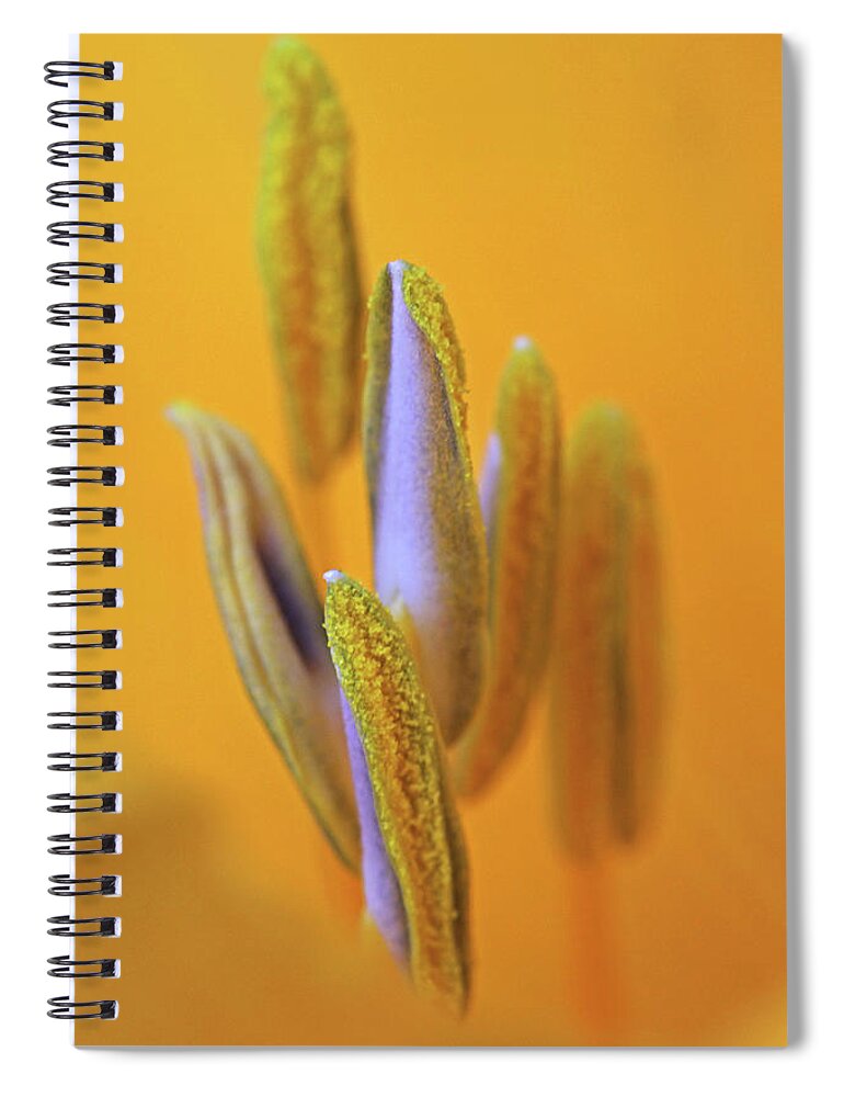 Abstract Spiral Notebook featuring the photograph I Can Lift You Up by Juergen Roth