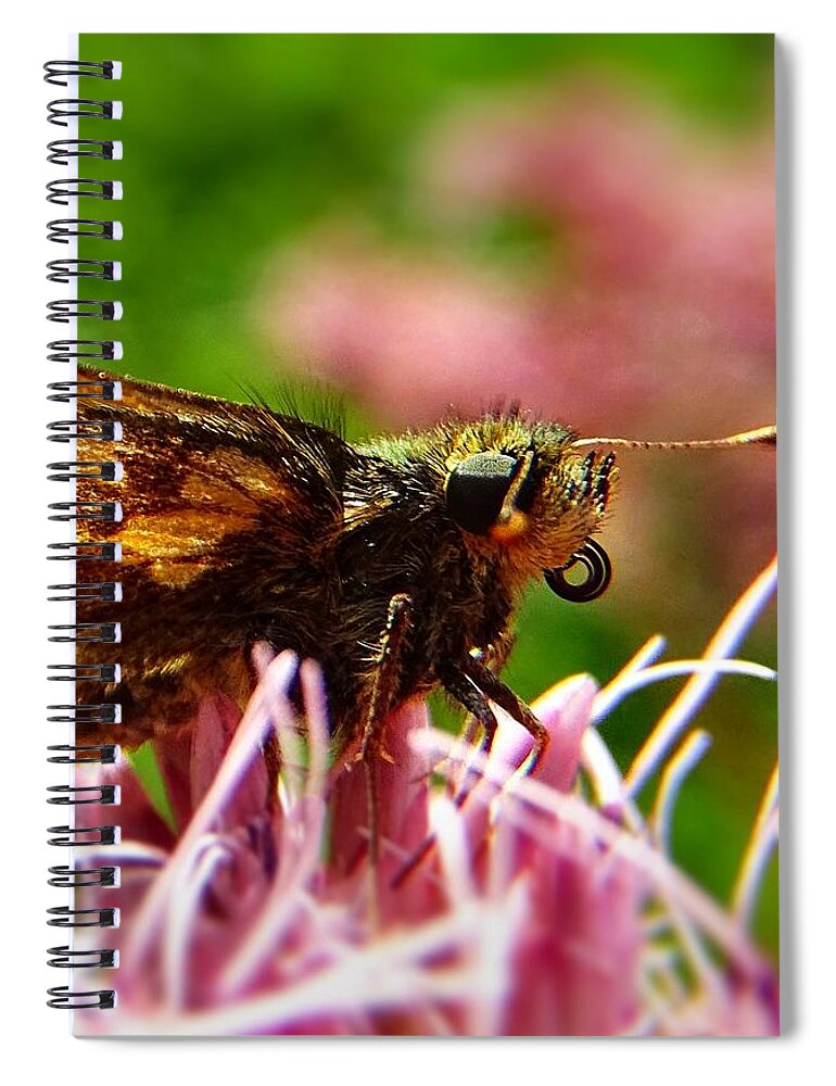 Butterfly Spiral Notebook featuring the photograph I can see you by Lilia S