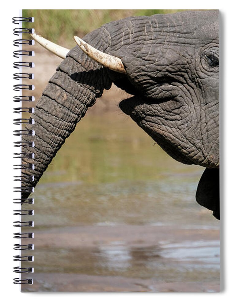 Africa Spiral Notebook featuring the photograph I Feel Happy by Mary Lee Dereske