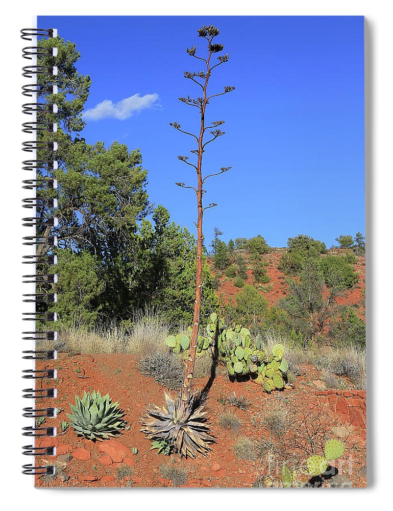 Agave Spiral Notebook featuring the photograph I Flower Only Once by Teresa Zieba