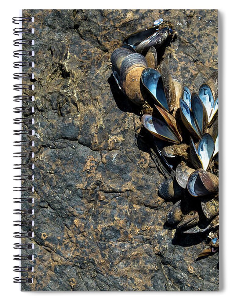Maine Spiral Notebook featuring the photograph I Love Maine by Holly Ross