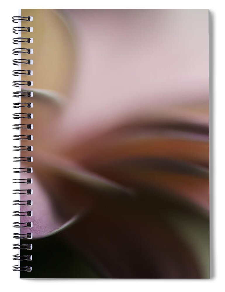 2015 Spiral Notebook featuring the photograph I Will Wait For You by Sandra Parlow