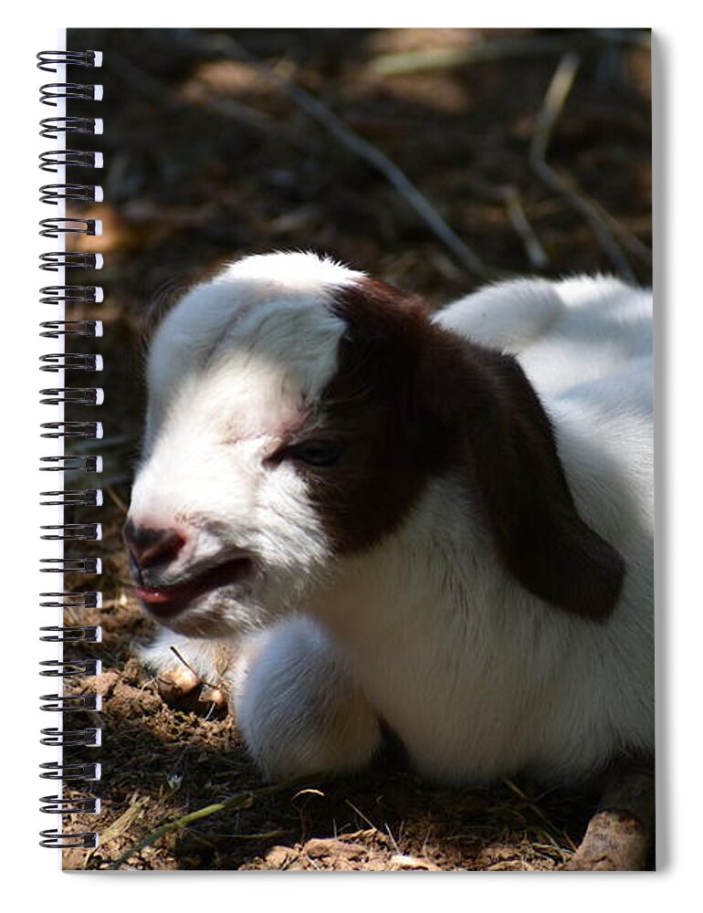 Baby Goat Spiral Notebook featuring the digital art I won't get up by Yenni Harrison
