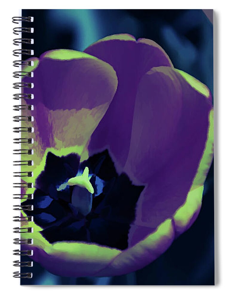 Purple Tulip Spiral Notebook featuring the photograph Ice Cold Orange Tulip by Aimee L Maher ALM GALLERY