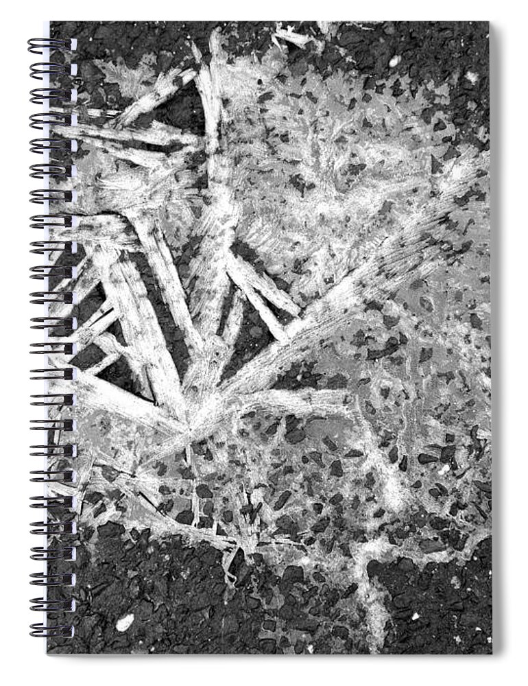  Spiral Notebook featuring the photograph Ice Crystals on the driveway by Polly Castor